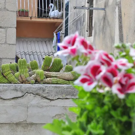 Modern In The Center * Split