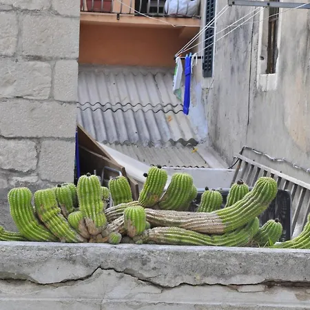 Modern In The Center Lejlighed *