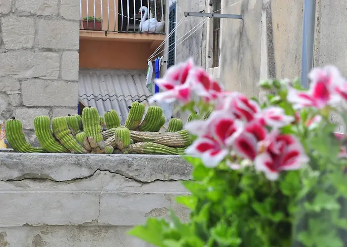 Modern In The Center * Split